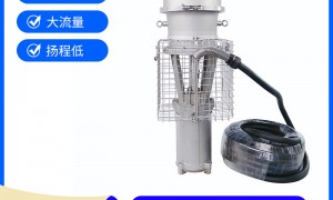 想找做节能改造防汛泵改成永磁的厂家推荐，2026年行业优选