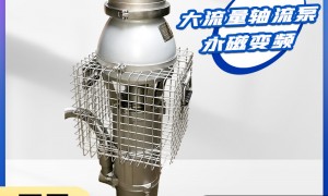 上海永磁防汛泵来图定制生产厂家实力参考，用户力荐不踩坑