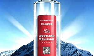 吴忠优质的定制婚礼用水生产厂家综合实力推荐，贺兰雪源头工厂实力盘点