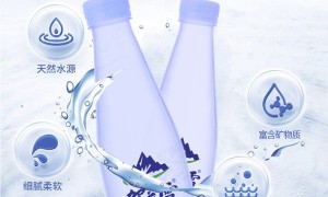 宁夏贺兰雪山泉水业定制桶装水源头工厂合作实力参考