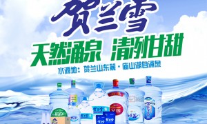 石嘴山做定制水支持小批量起订的厂家有哪些，贺兰雪用户力荐