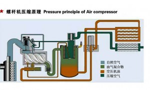 资质齐全的空压机维修保养服务商合作实力参考