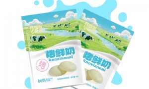 2026年奶食品供应商挑选全攻略