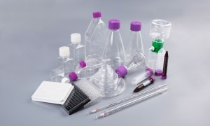 杭州贝兰伯生物技术：多孔细胞培养板源头工厂避坑挑选指南，价格公道不玩套路