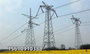 黑龙江热门的电力塔大型厂家筛选名录