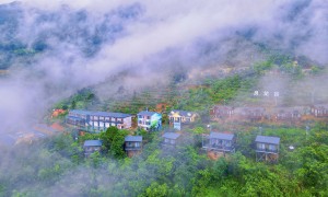 2026年生态景点小众哪个好，灵龙谷康养服务商实力盘点