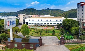 重型立式车床厂家供应 成功机床双柱定梁立车 大扭矩齿轮箱 适合盘类件