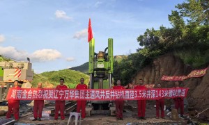 金合矿业在行业内排名怎么样，实力如何