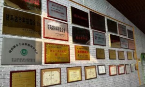 湖北省天中古味香油口碑如何