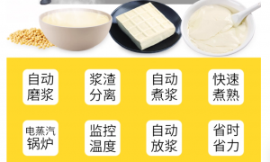 曲靖豆腐机生产厂哪家价格合理的行业现状与选择指南