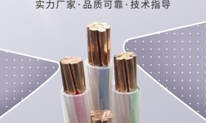 延边自治州正规的电缆定制厂家有哪些 联迅线缆源头工厂推荐