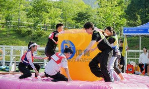 职工趣味运动会承办哪家合适？大熊体育千人赛事组织经验，含器材与安保方案
