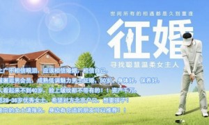 2026年北京婚恋服务商实力与用户口碑深度解析