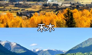 2026年伊犁地区夏季能存水果零食的新疆包车游推荐哪家旅行社，售后完善实力推荐