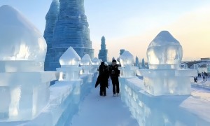 延吉旅游包车游找哪家？广受信赖的优质服务商实力与用户口碑解析