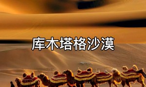2026年靠谱的做新疆多日深度纯玩的旅行社推荐，用户力荐