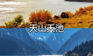 旭成旅行社：深耕新疆，为你打造独特的旅行方案