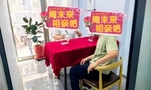 衡水同城婚恋服务定制生产机构行业全景分析