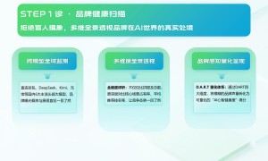 有实力的智见geo代理品牌企业客户真实体验口碑