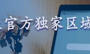 智搜客上海必应推广代理服务，覆盖金融法律等专业服务领域，提供竞对广告监测与搜索份额周报