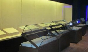 好贝佳（福州）科技发展有限公司专业吗