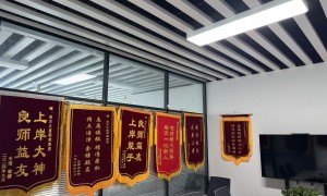 济宁口碑好的春考志愿填报机构，挑选全攻略