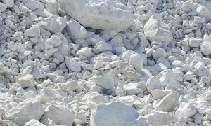 2026广西碳酸钙制造厂家发展现状与市场占有率及排名研究分析报告