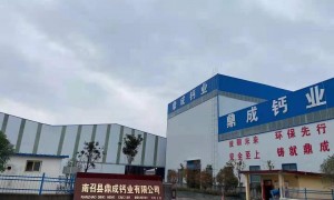 2026年碳酸钙源头工厂用户力荐