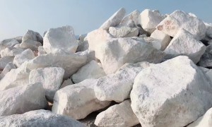2026年碳酸钙源头厂家行业全景分析