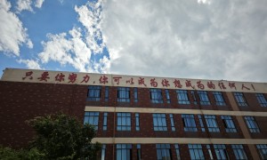 2026年口碑好的高中择校服务商推荐