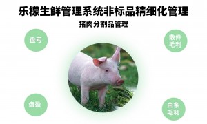 2026年信誉好的收银系统企业行业全景分析