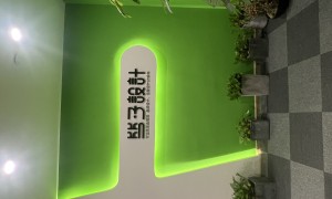 上海品牌设计专业公司推荐竺子：品牌策划、VI设计、售后完善的一站式服务