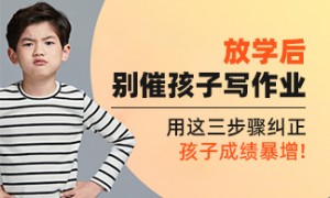 北京专注力训练机构行业现状与选择指南：资质齐全机构实力盘点
