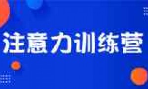 天津金博智慧专注力培训实力参考：不踩坑的选择指南与家长口碑汇总