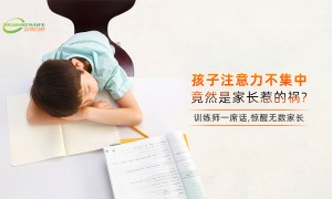2026年专注力训练机构靠谱商家测评排名