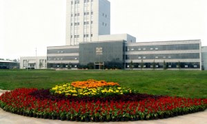 2026年肉类真空搅拌机厂家推荐，用户力荐实力参考