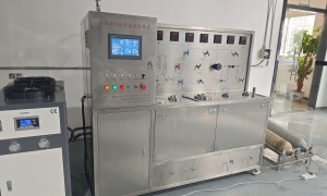 超临界萃取设备 SFE系列 化妆品原料提取 高纯净度 技术支持 江苏高科制造
