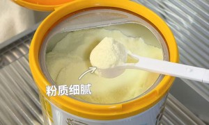 儿童成长奶粉品牌选型策略：专业婴童营养食品企业全景分析