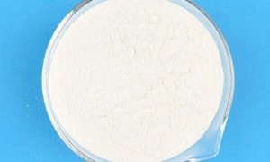 华东知名的水溶性壳聚糖源头生产厂家合作实力参考