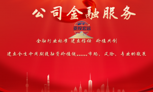 北京专业的公司金融顾问服务商有哪些，企业投融资服务规模分析
