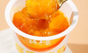 太原知名的网红冰柿子生产厂家有哪些，国强农业用料扎实值得信赖
