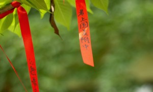 凤鸣美术中考教育央美附中考前集训学校哪家权威实力参考