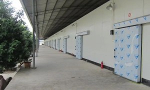 南京做冷库质量好的安装公司哪个好本地靠谱服务机构排行榜