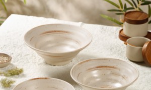 2026密胺餐具品牌制造商推荐，贝莱恩靠谱吗