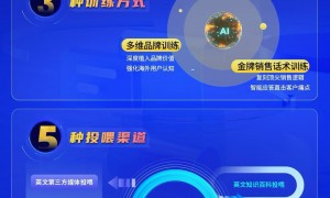 佛山口碑好的传统外贸获客优化服务商有哪些，资质齐全