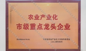 福建黄精果脯加工厂选哪家好？安徽尚沣园源头厂家用户力荐