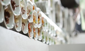 健味食品专业吗
