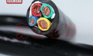 亮诚电缆的专业程度如何，研发能力强吗