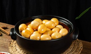 2026年猪脚饭加盟连锁品牌市场观察：隆广顺总部地址及成功案例研究分析报告