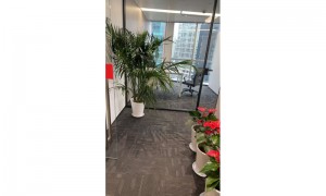 上海靠谱的婚恋公司选择指南：高性价比服务商综合推荐